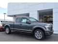 Magnetic 2017 Ford F150 XL SuperCab Exterior