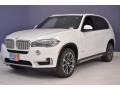 Alpine White - X5 sDrive35i Photo No. 3
