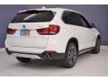 Alpine White - X5 sDrive35i Photo No. 7