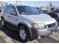 2010 Sterling Grey Metallic Ford Escape Limited V6 4WD  photo #3