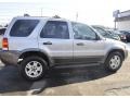 Sterling Grey Metallic - Escape Limited V6 4WD Photo No. 4