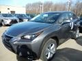 Nebula Gray Pearl - NX 200t AWD Photo No. 1
