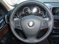 Mocha 2014 BMW X5 xDrive35i Steering Wheel
