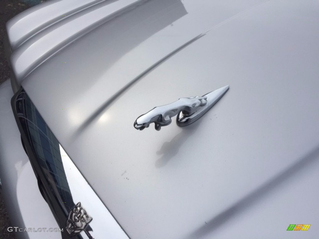 2004 XJ XJ8 - Platinum Silver Metallic / Dove photo #13