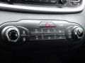 Black Controls Photo for 2017 Kia Sorento #118871876