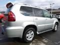 2005 Silver Pine Metallic Lexus GX 470  photo #4
