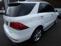 Polar White - GLE 350 4Matic Photo No. 2