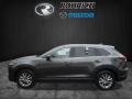 Machine Gray Metallic - CX-9 Touring AWD Photo No. 3