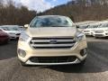 2017 White Gold Ford Escape SE 4WD  photo #2