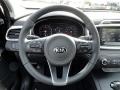 Platinum Graphite - Sorento LX Photo No. 22