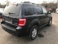 2009 Sterling Grey Metallic Ford Escape XLT 4WD  photo #8