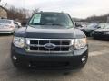2009 Sterling Grey Metallic Ford Escape XLT 4WD  photo #11