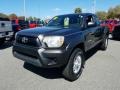 Magnetic Gray Metallic 2013 Toyota Tacoma Prerunner Access Cab
