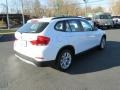 2013 Alpine White BMW X1 xDrive 28i  photo #6