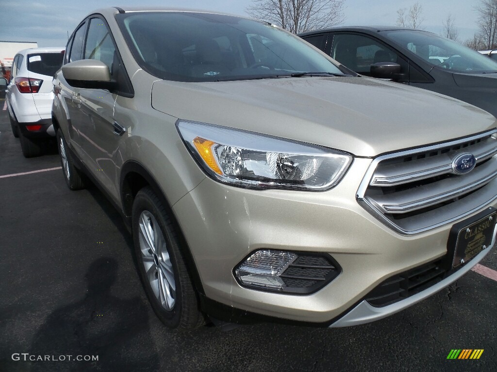 White Gold Ford Escape