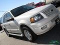 Cashmere Tri-Coat Metallic - Expedition Limited Photo No. 40