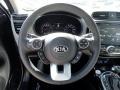 Gray Two-Tone Steering Wheel Photo for 2017 Kia Soul #118932485