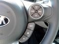 Gray Two-Tone Controls Photo for 2017 Kia Soul #118932529