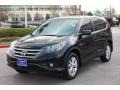Crystal Black Pearl - CR-V EX Photo No. 3