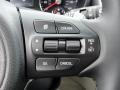 2017 Kia Sorento EX AWD Controls