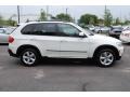 Alpine White - X5 3.0si Photo No. 16