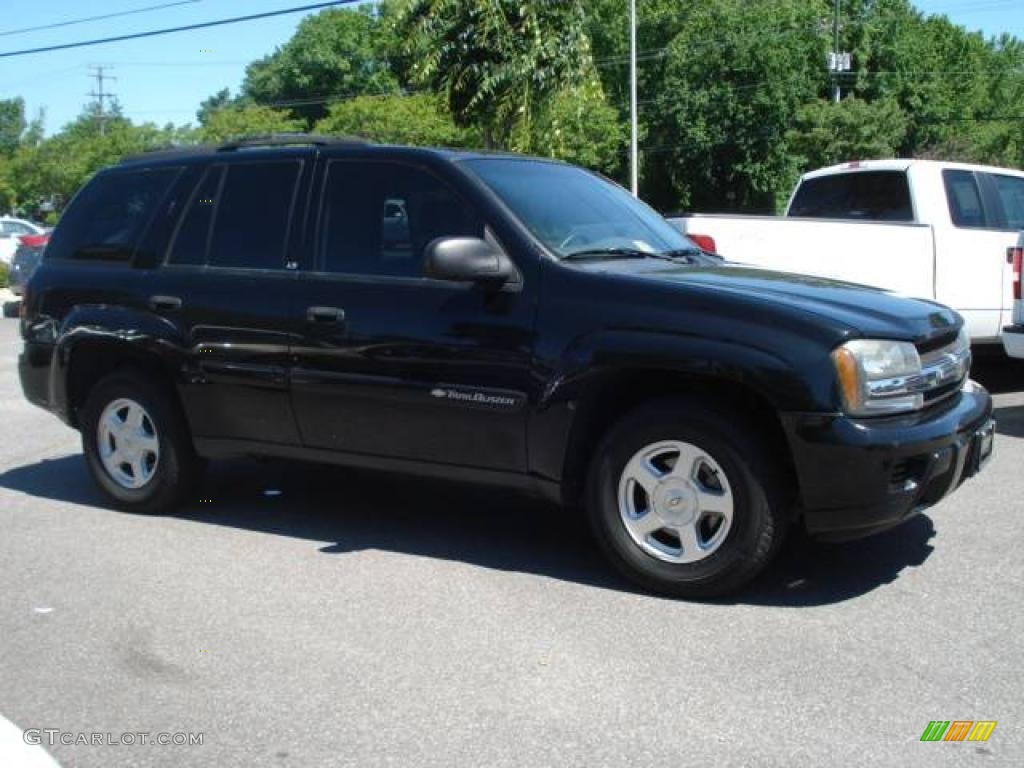 2002 TrailBlazer LS - Onyx Black / Light Pewter photo #5