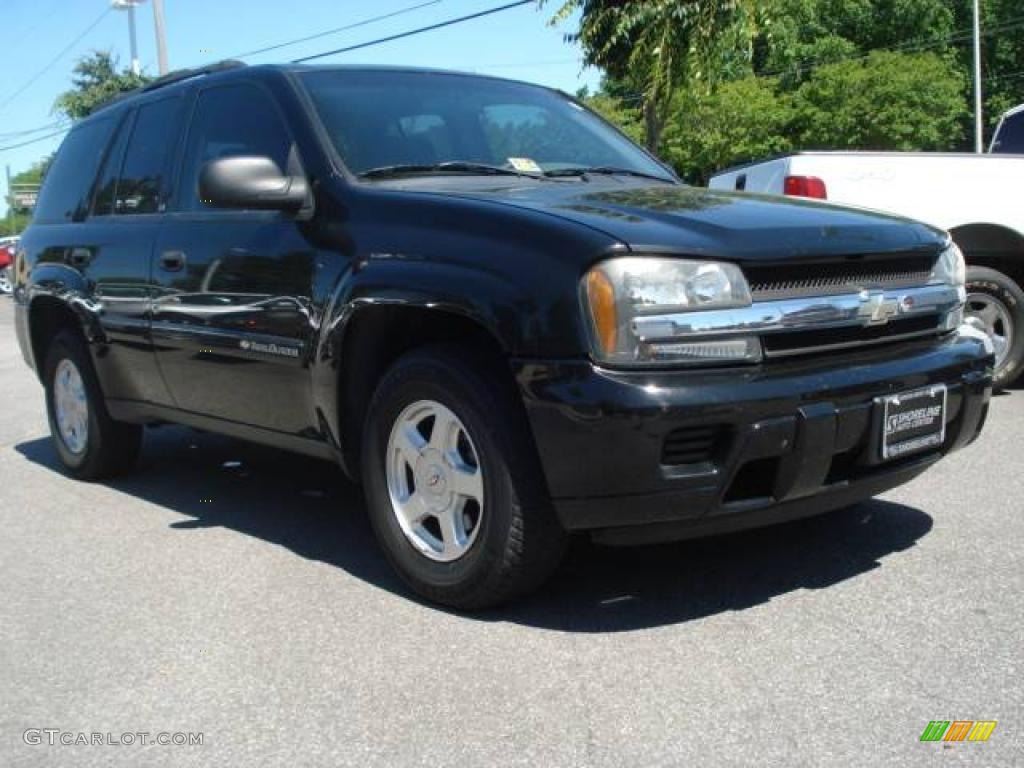 2002 TrailBlazer LS - Onyx Black / Light Pewter photo #6