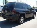 2002 Onyx Black Chevrolet TrailBlazer LS  photo #24