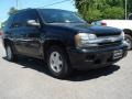 2002 Onyx Black Chevrolet TrailBlazer LS  photo #26