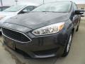Magnetic - Focus SE Sedan Photo No. 1