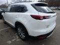 Snowflake White Pearl Mica 2017 Mazda CX-9 Grand Touring AWD Exterior