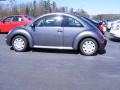 Platinum Grey Metallic - New Beetle GL Coupe Photo No. 5
