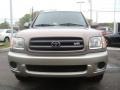 Thunder Gray Metallic - Sequoia SR5 4WD Photo No. 9