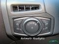 Magnetic - Focus ST Hatch Photo No. 24