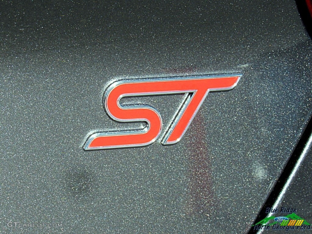 2017 Ford Focus ST Hatch Marks and Logos Photo #119064089