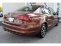 Dark Bronze Metallic - Jetta SE Photo No. 10