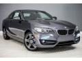 Mineral Grey Metallic - 2 Series 230i Coupe Photo No. 12