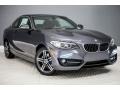 2017 Mineral Grey Metallic BMW 2 Series 230i Coupe  photo #12