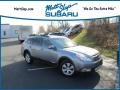 2010 Steel Silver Metallic Subaru Outback 2.5i Limited Wagon  photo #1