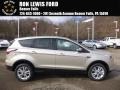 2017 White Gold Ford Escape SE 4WD  photo #1
