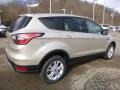 2017 White Gold Ford Escape SE 4WD  photo #2