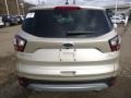 2017 White Gold Ford Escape SE 4WD  photo #3