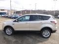 2017 White Gold Ford Escape SE 4WD  photo #6