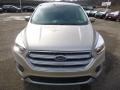 2017 White Gold Ford Escape SE 4WD  photo #8