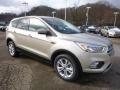 2017 White Gold Ford Escape SE 4WD  photo #9