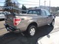 Sterling Gray Metallic - F150 STX SuperCab 4x4 Photo No. 6