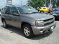 2006 Graystone Metallic Chevrolet TrailBlazer LS  photo #7