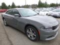 Destroyer Grey - Charger SXT AWD Photo No. 7