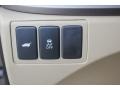 Kona Coffee Metallic - RDX  Photo No. 41