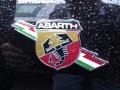 2017 Fiat 500 Abarth Badge and Logo Photo